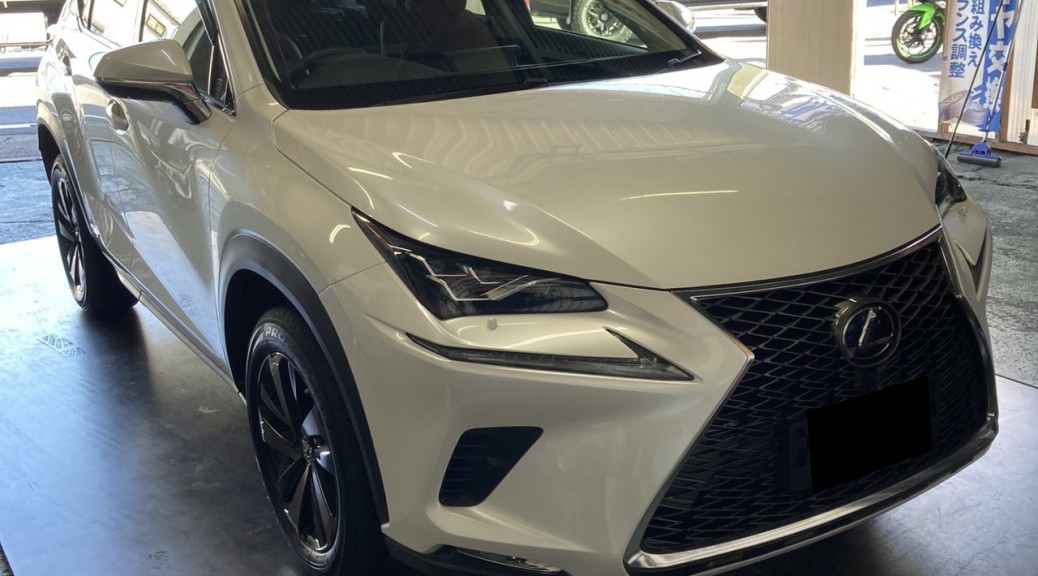 LEXUS NX